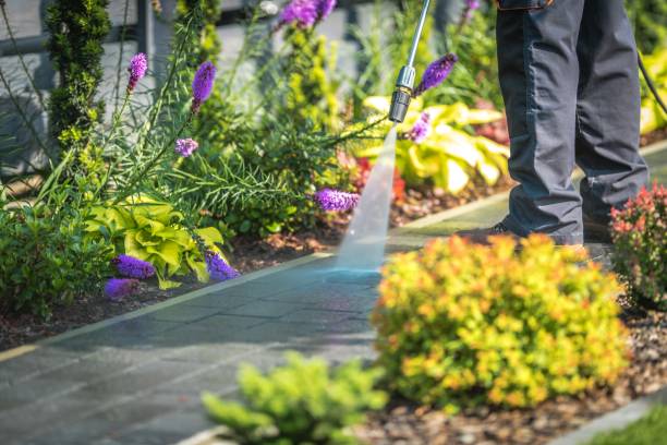 Reliable Highland, CA Pressure Washing Solutions